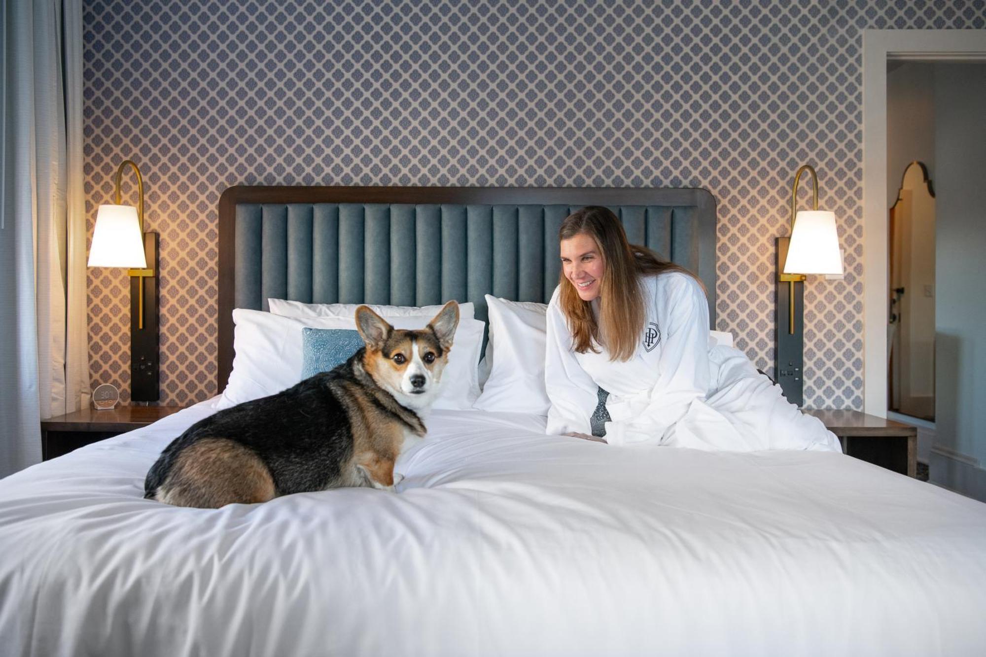 Hotel Petersburg, Tapestry Collection By Hilton Dış mekan fotoğraf